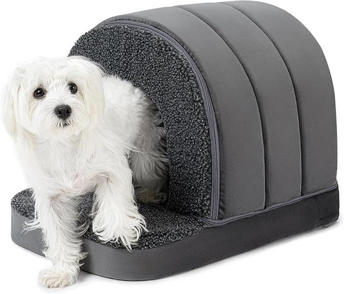 Pëlzin indoor orthopedic - pëlzin, dog
