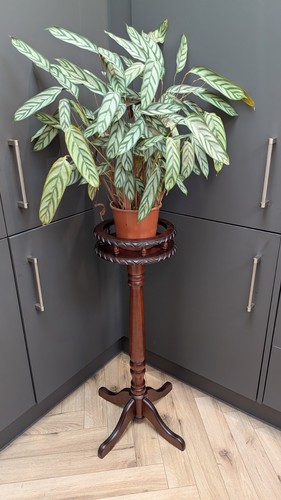 Vintage mahogany pot - vintage, stand