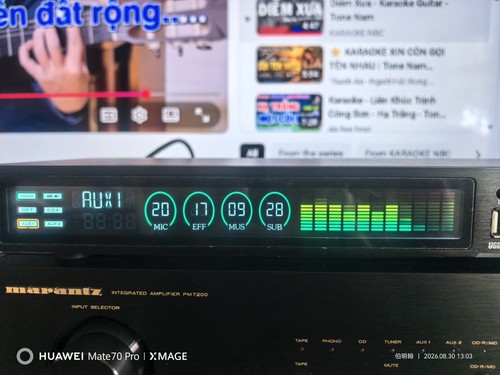 Professional karaoke effector - professional,