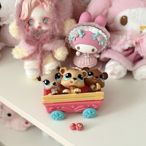 Littlest pet shop - shop, bear