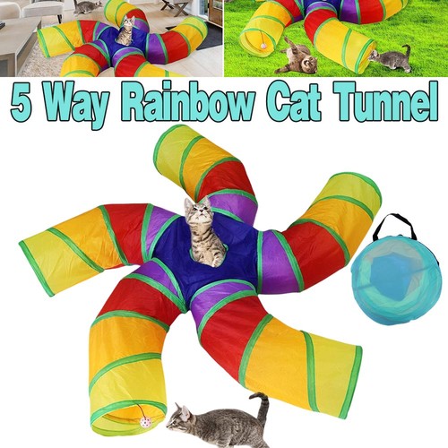 Cat tunnel way rainbow - cat, 5-way