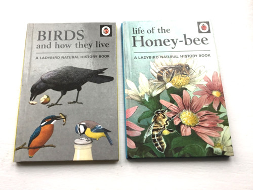 Ladybird books birds and - 2,
