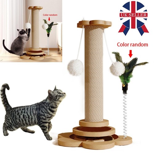 Large tall cat - large,