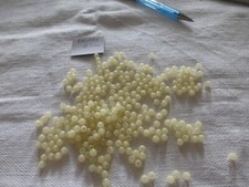 lot of 500 antique lime color round Briare bead 5mm