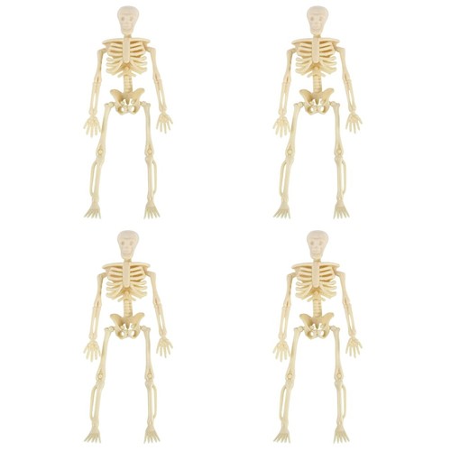 Pcs fake skeleton prop - pcs,