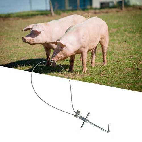 Pig holder catcher - pig, farm
