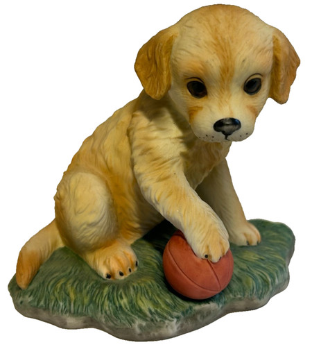 Royal osborne labrador puppy - royal,