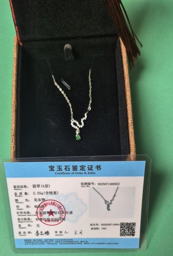 Chinese snake short necklace - chinese,
