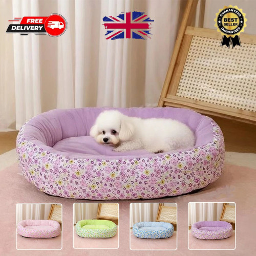 Pet dog bed - bed, cat