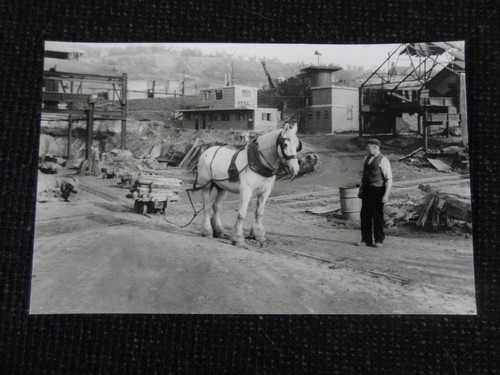 Goldendale iron chatterley - iron,