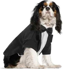 Dog Halloween Costume Tuxedo
