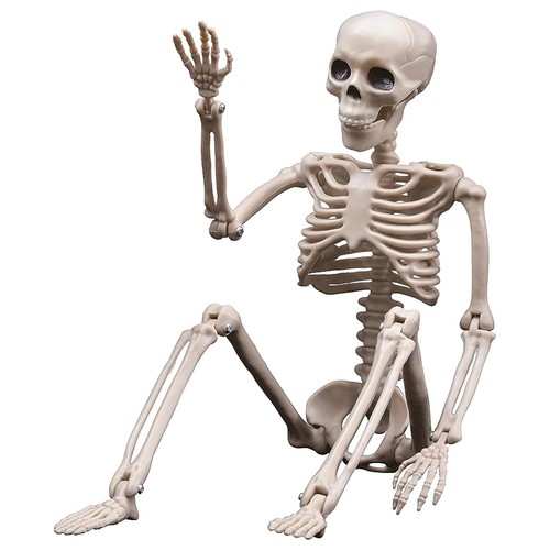 Halloween skeleton decorations - halloween,