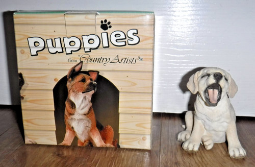 Puppies from country artists - puppies,
