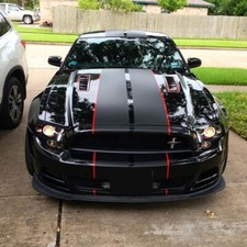 Ford Mustang-Shelby Racing PIN Stripes Decal Vinyl Sticker Viper Stripes Racing