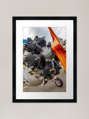 Radial engine plane - plane, framed