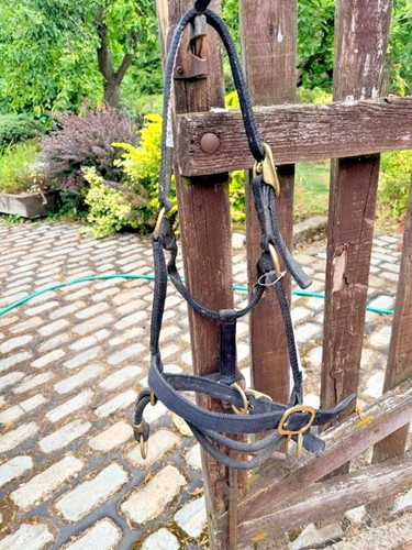 Training halter dually - training,
