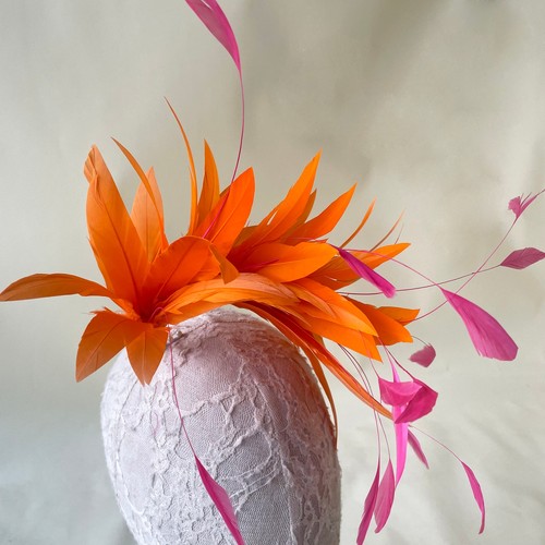 Colours goose feather - 80,