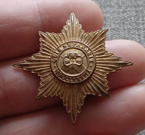 British army cap badge irish - badge,