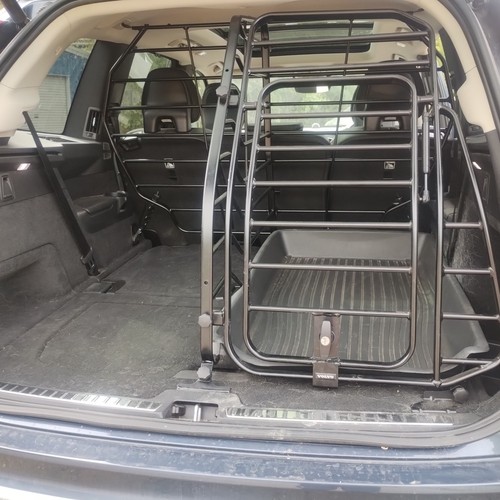Volvo 2016 mk2 dog - 2016, on