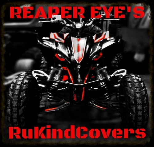 Yamaha raptor reaper head - raptor,