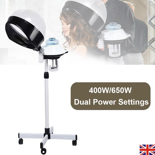 Professional hair steamer and - hair,
