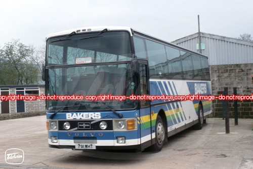 Coach photo bakers dolphin - coach,