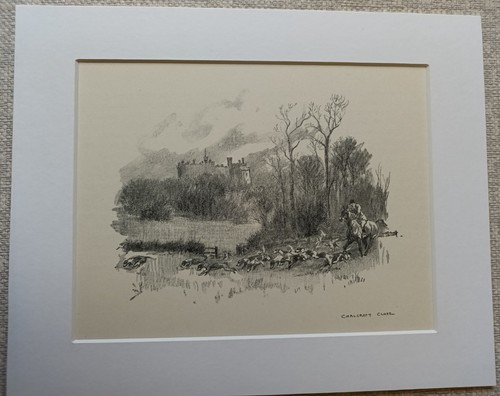Belvoir hunt stewart - belvoir, f