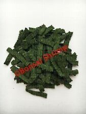 5g Algae Strips Bonsai Shrimp Food in refill bag Crystal Red Blue Cherry Shrimp