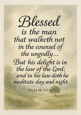 Bible Verse - Christian -