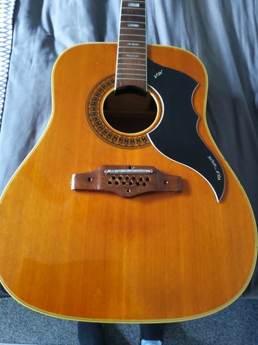 Vox string folk - 12, acoustic