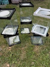 6 Tarantula Spider Vivarium