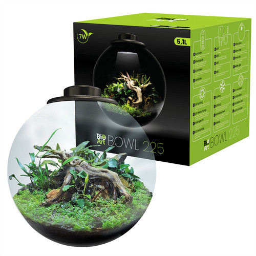 Bioart glass terrarium nano - bioart,