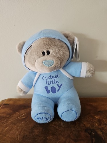 Tiny tatty teddy - teddy, nose