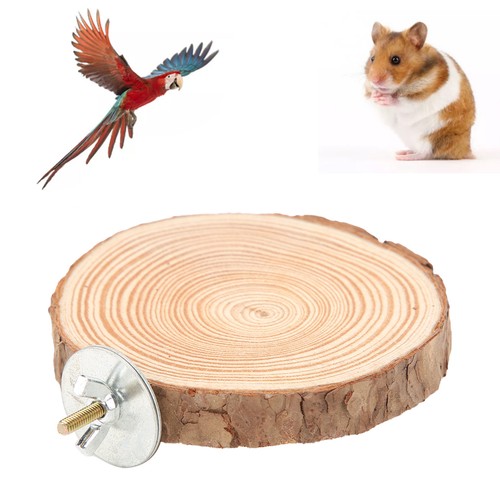 Birds round perch - round,