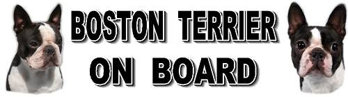 Boston terrier board car - boston,