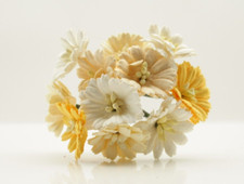 Mulberry paper Daisy Mini