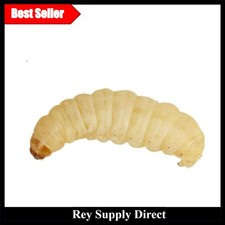 Live Waxworms 50 Pack 15g -