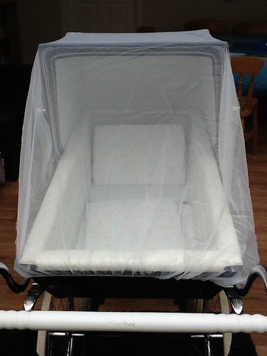 Insect net for - insect,
