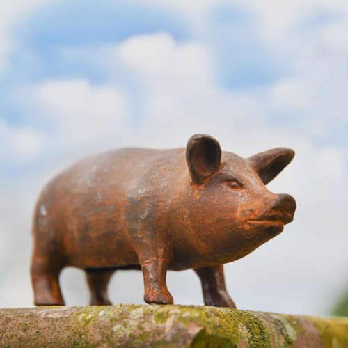 Miniature freestanding pig - freestanding,