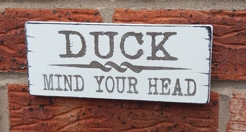 Duck mind your - mind, fun