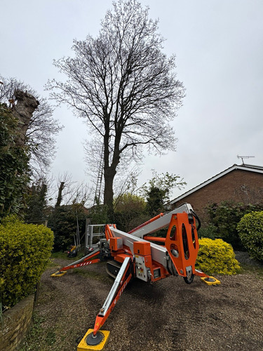 25m mewp cherry - mewp/cherry, picker