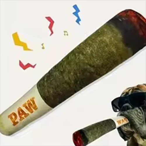 Raw squeaky dog - raw, toy