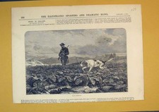 Original Old Antique Print 1875 Sport Hare Shooting Man Gun Hound Dog Country