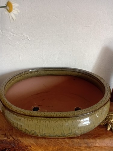 Beautiful bonsai pot green - beautiful,
