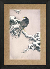 Goshawk on Snow Framed Wall
