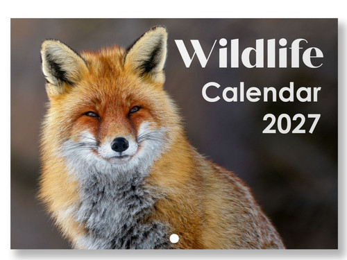 2027 wildlife calendar wall - 2027,