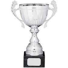Silver Presentation Cup With