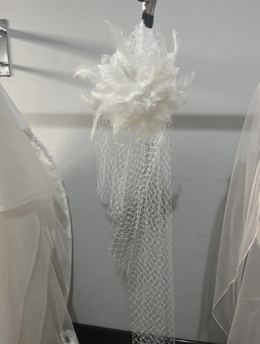 Birdcage veil - birdcage,