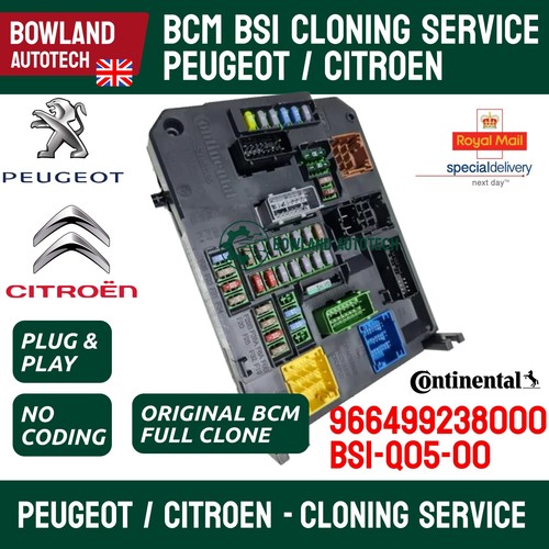 Cloning service for peugeot - cloning,