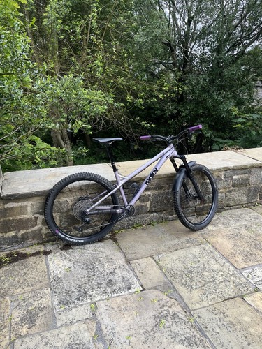 Ragley mmmbop hardtail - ragley,